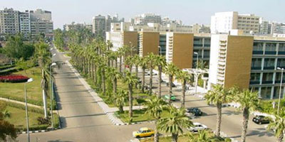 Top 10 Universities in Egypt