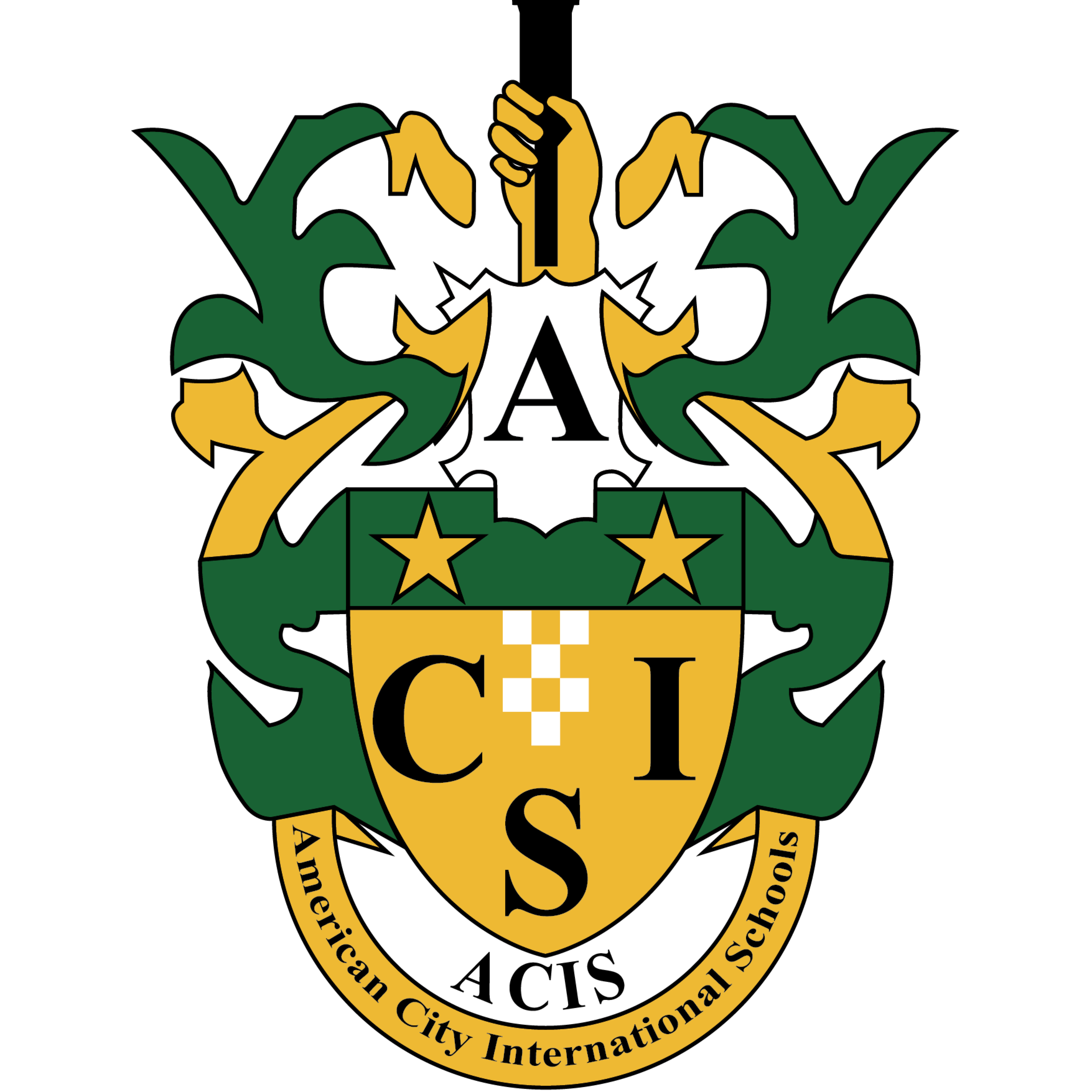 City International School