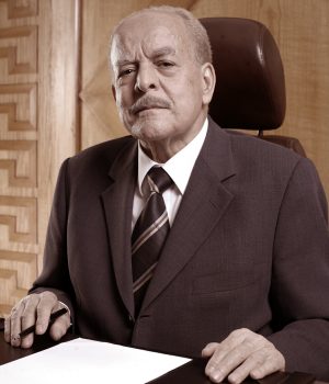 Hussein AlRashidy