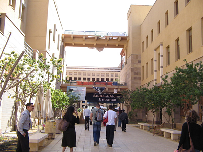 تعرف على أفضل 7 كليات وجامعات إدارة الأعمال في مصر