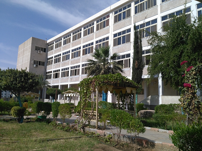 ما هي أفضل جامعات وكليات الطب في مصر؟ تعرف على الإجابة